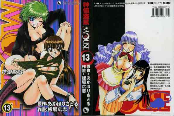 神偷鼠盜 Vol.13