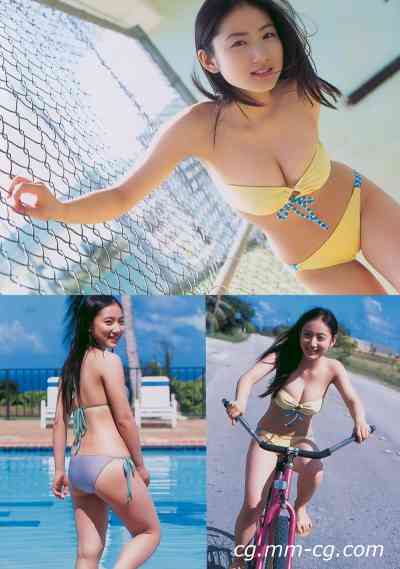 Weekly Playboy 2010 No.11 紗綾 天海つばさ 水沢奈子 森田美位子 池脇千鶴 手島優 皆藤愛子 他